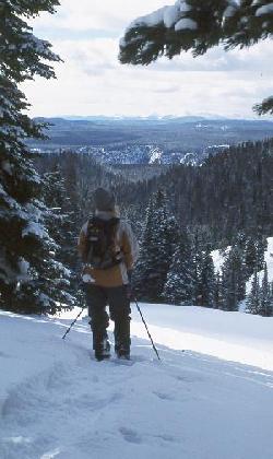 A snowshoer views the canyon from Dunraven Pass