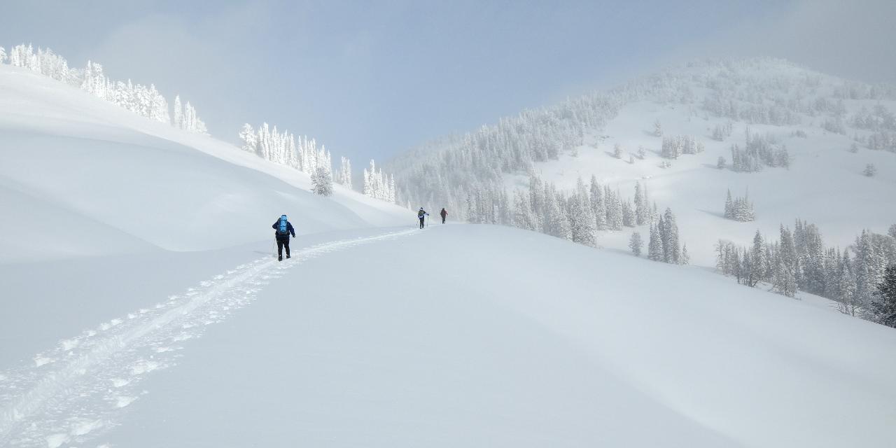 Cross-country skiing at Dunraven Pass